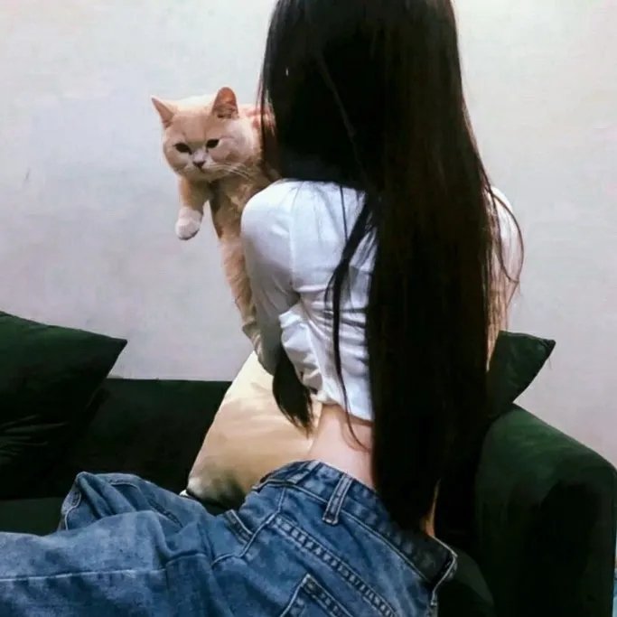 淑女飘飘拳封面